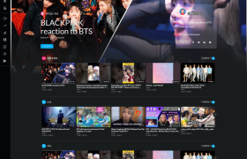 동영상 플랫폼(Youtube)